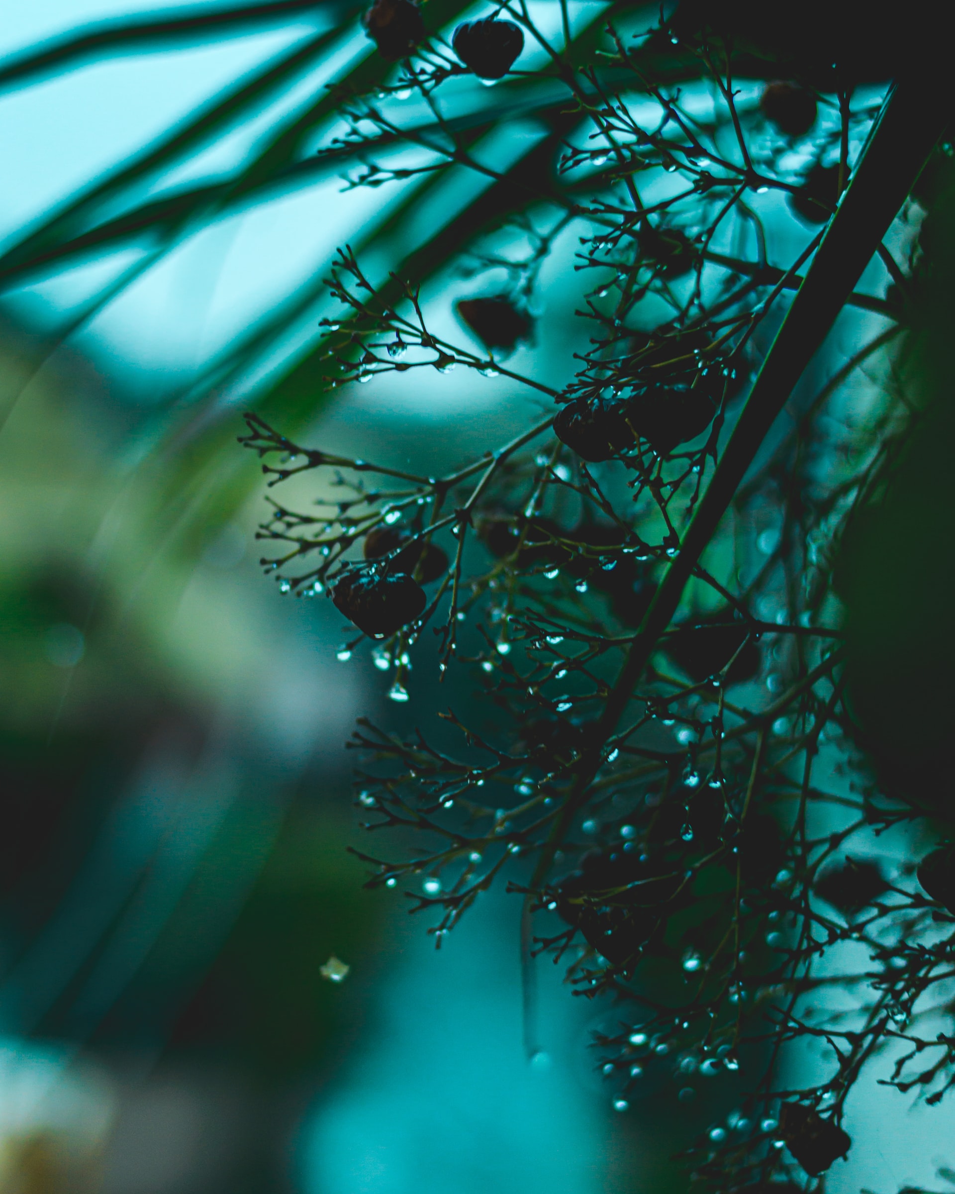 sayon-kumar-sMBCS662HeY-unsplash